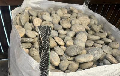 salg af Beach Pebbles 3-10 cm