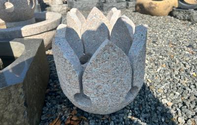 salg af Blomst vandsten - limet