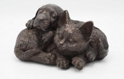 salg af Kattekilling og hundehvalp sover