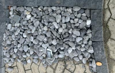 salg af Søsten gråsort udstilling