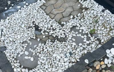 salg af Søsten hvid udstilling