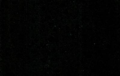 salg af Sort poleret basalt flise