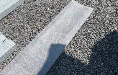 salg af Vandrende lilla/rødlig matsleben