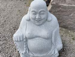 buddha h 100