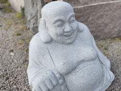 grå buddha