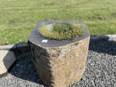 salg af Trug basalt dia 55 cm